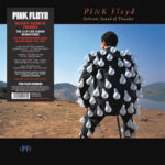 Виниловая пластинка Pink Floyd ? Delicate Sound Of Thunder (2 LP)