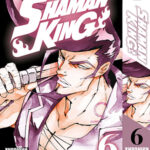 Shaman King (Том 6)