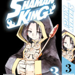 Shaman King (Том 3)