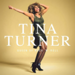 Виниловая пластинка Tina Turner - Queen Of Rock 'N' Roll (LP)